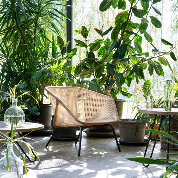 Wooden Cane & Rattan Lounge Chair - Morgen