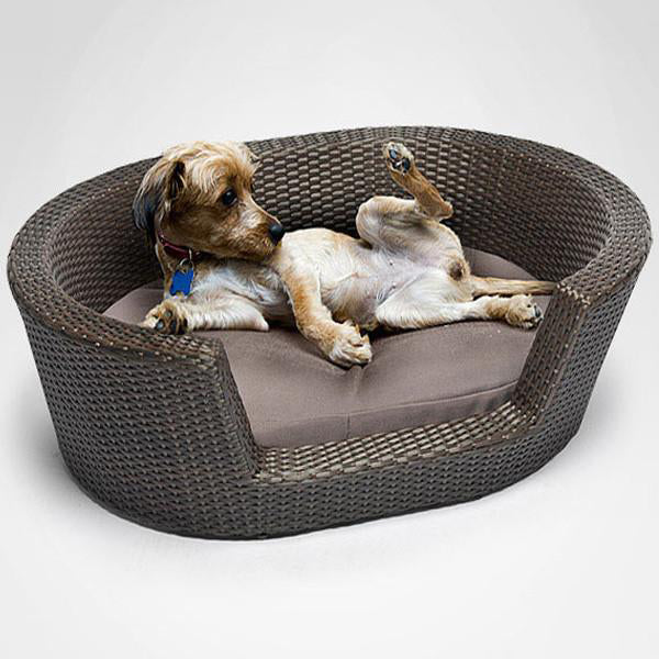 Outdoor Wicker Dog Basket Vintage